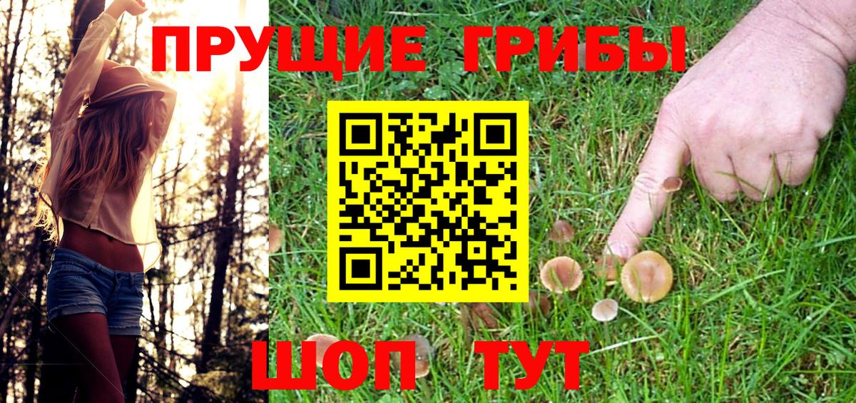 Псилоцибиновые грибы ЛСД Добрянка