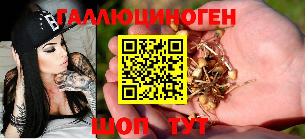 Галлюциногенные грибы прущие грибы  закладки  Добрянка  Вход с VPN 